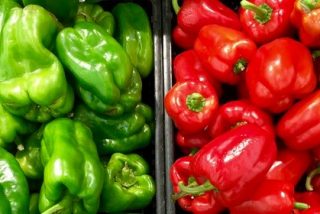 Las exportaciones agroalimentarias andaluzas crecen un 5% entre enero y octubre respecto a 2018