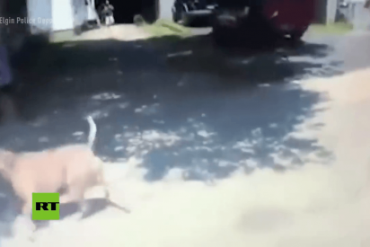 Este policía utiliza un arma eléctrica contra un perro en EE.UU.