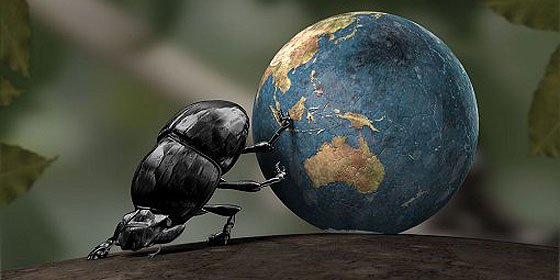 Los escarabajos ya polinizaban en el Jur&aacute;sico temprano antes que las abejas