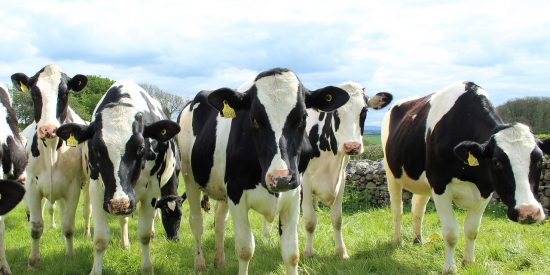 &iexcl;CON SU MEMORIA DEMCR&Aacute;TICA!