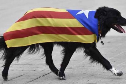 Hace furor la campa&ntilde;a en Internet para 'saludar' al restaurante que sirve "guardia civil andaluz a la brasa"