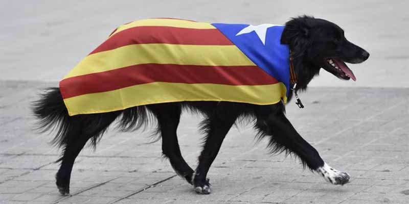 Hace furor la campaña en Internet para 'saludar' al restaurante que sirve "guardia civil andaluz a la brasa"