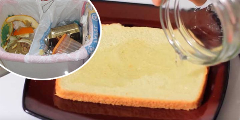 Echa vinagre al pan y tíralo en el cubo de la basura, ahora espera al día siguiente y alucina