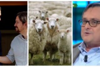 Momentazo en laSexta: vea la descacharrante imitaci&oacute;n 'ovejil' de Paco Marhuenda