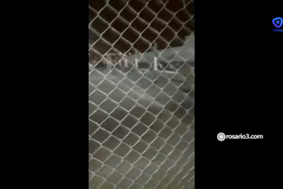 Terrible tiroteo durante un partido de f&uacute;tbol infantil en Argentina