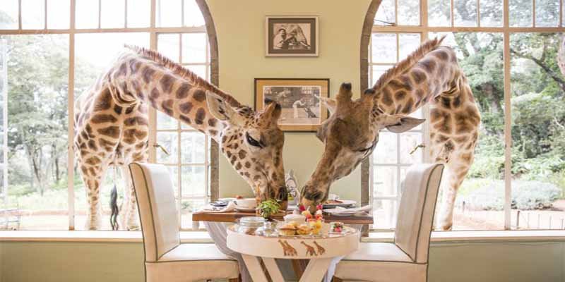 'Time': Estos son los 100 mejores lugares del mundo para visitar ahora