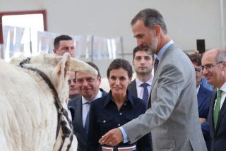 El saludo de la reina Letizia a una vaca salmantina que deja sin decir ni mu a muchos