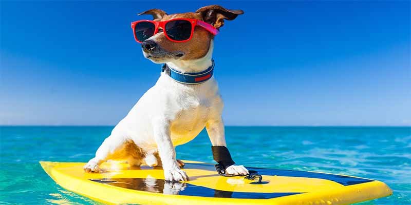 Nuevas costumbres: Tres de cada cuatro españoles guarda días de vacaciones para el resto del año