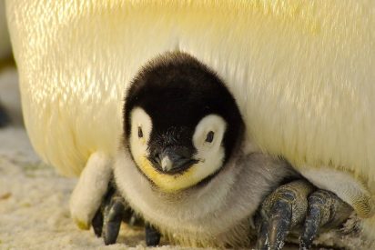 Pron&oacute;stico del Tiempo para este jueves 5 de febrero de 2026