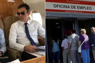 Twitter explota contra Pedro S&aacute;nchez por los horrendos datos del paro: menos Franco y m&aacute;s crear empleo