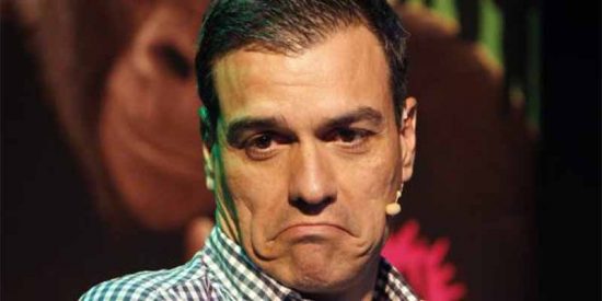 El Gobierno S&aacute;nchez huele a podrido por muchas salsa que le eche el 'masterchef del CIS