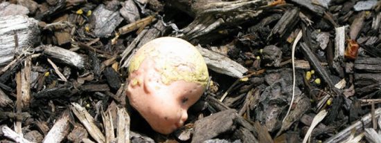 &iexcl;Horrible!: Torturan, decapitan y desmiembran a un beb&eacute; en un brutal acto "diab&oacute;lico"