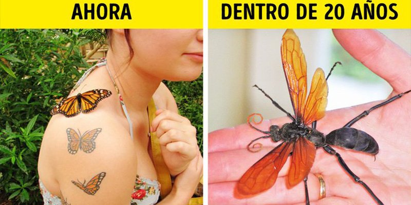 Aqu&iacute; tienes 9 consecuencias catastr&oacute;ficas que traer&aacute; el calentamiento global