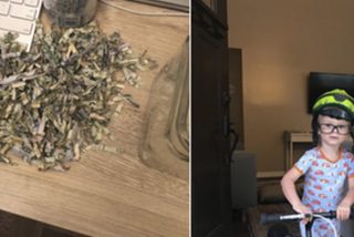 Este ni&ntilde;o mete en una trituradora de papel los ahorros de sus padres y ahora intentan recuperarlos