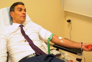 "Iglesias no puede donar sangre porque lo suyo es un componente entre &aacute;cido sulf&uacute;rico y caspa licuada"