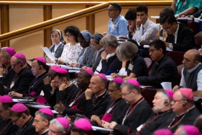 La declaraci&oacute;n del S&iacute;nodo plantear&aacute; una "reforma hist&oacute;rica" para erradicar la pederastia en la Iglesia