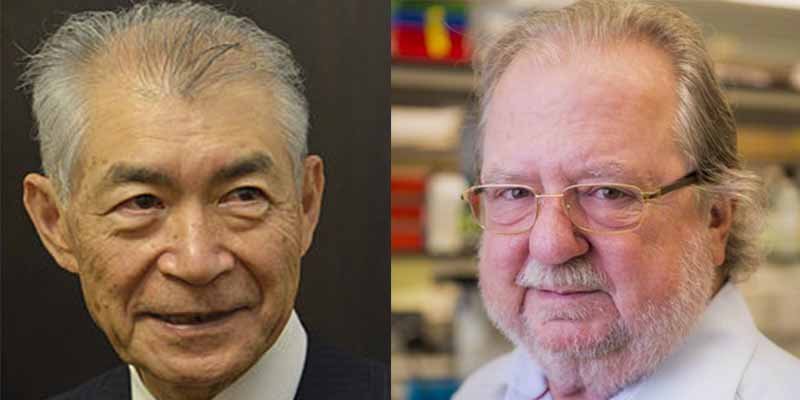 Premio Nobel de Medicina para el estadounidense James P. Allison y el japon&eacute;s Tasuku Honjo