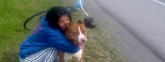 Roko, el perro uruguayo que estuvo "preso" un mes