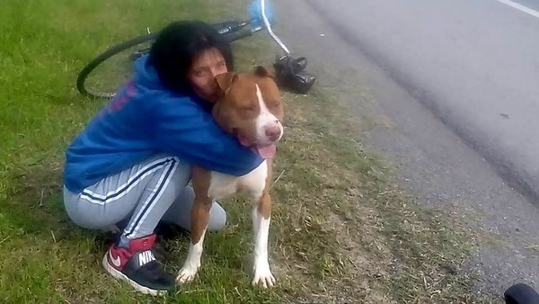 Roko, el perro uruguayo que estuvo "preso" un mes