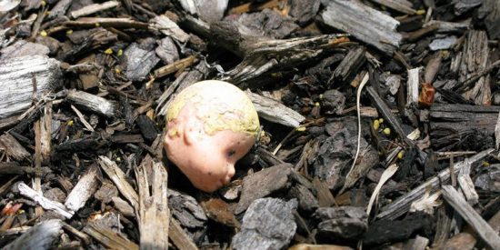 Torturan, decapitan y desmiembran a un beb&eacute; de cinco meses en un brutal acto "diab&oacute;lico"