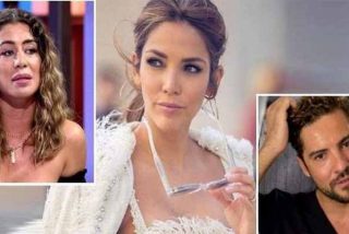 David Bisbal y Rosanna Zanetti descubren el sexo del bebé que esperan ...