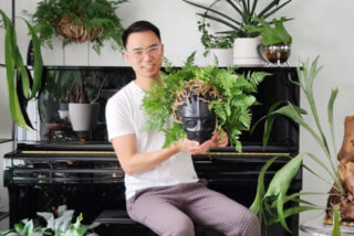 Darryl Cheng y sus plantas