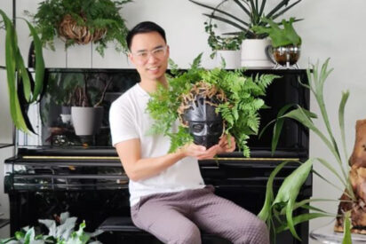 Darryl Cheng y sus plantas