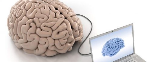 El crecimiento del cerebro no equivale a una evoluci&oacute;n de la inteligencia