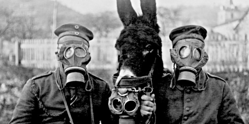 La píldora número 9: la pastilla 'curalotodo' que recibían los soldados aliados durante la I Guerra Mundial