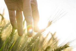 V&iacute;ctor Corcoba Herrero: "Tiempo para la reflexi&oacute;n y los buenos deseos"