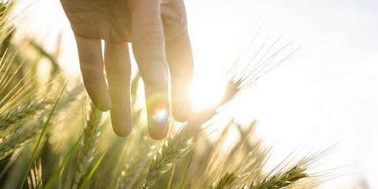 V&iacute;ctor Corcoba Herrero: "Tiempo para la reflexi&oacute;n y los buenos deseos"