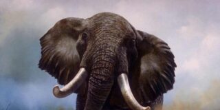 El elefante enloquece y ataca sin piedad a los vecinos del pueblo