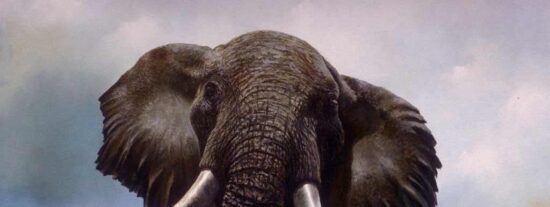 El elefante enloquece y ataca sin piedad a los vecinos del pueblo