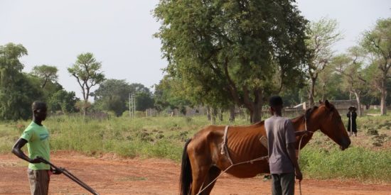 Agricultores en Senegal