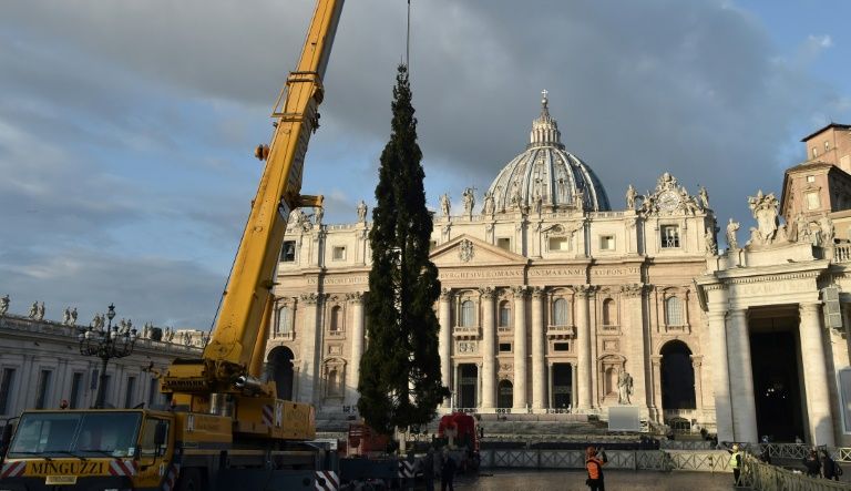 El Papa pide "no mundanizar la Navidad": no nace un &aacute;rbol, sino Jes&uacute;s