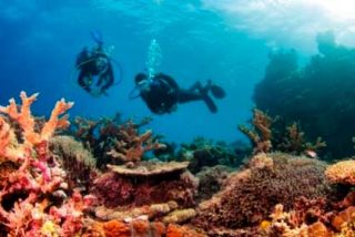 ¿Dónde bucear en Australia?