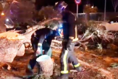Dos heridos graves en Madrid al caerles un arbol encima cuando se sub&iacute;an a un coche
