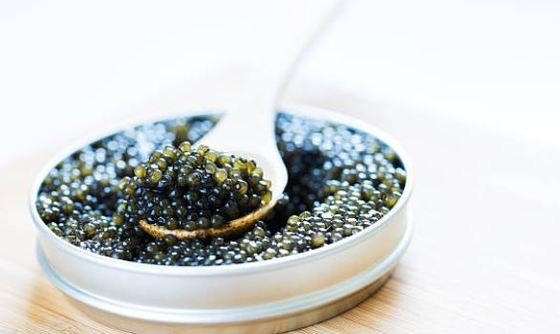 ="Caviar siberiano 50g