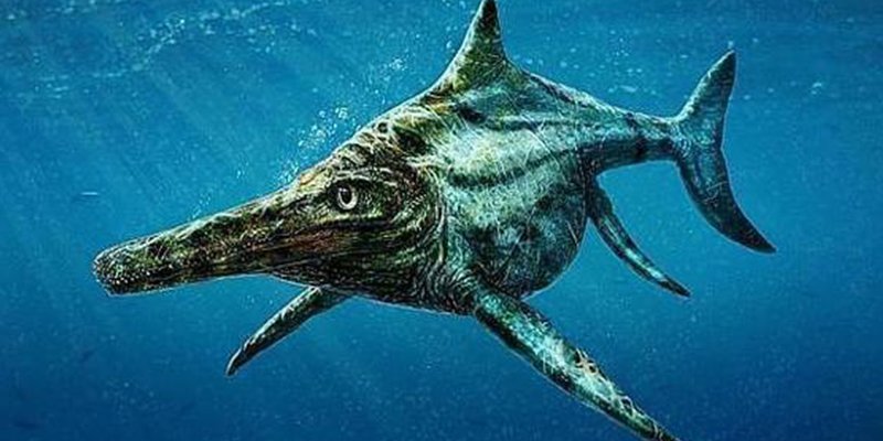 As&iacute; era el ictiosaurio: parecido a los delfines pero emparentado con las tortugas
