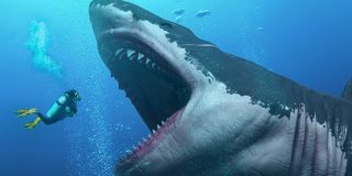 El extinto 'megalod&oacute;n' podr&iacute;a haber sido tan grande como una ballena azul