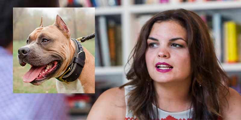 Hospitalizan a la socialista Sandra Gómez, primera teniente de alcalde de València, tras atacada por dos perros
