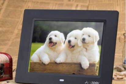 Qué marco digital comprar