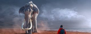 El elefante mata al gu&iacute;a tur&iacute;stico que intentaba hipnotizarlo