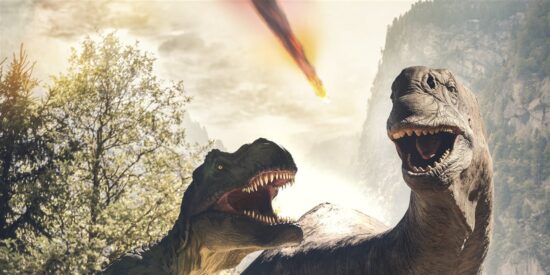 Misterio resuelto: el huevo de dinosaurio de 85 millones de a&ntilde;os que reescribe el Cret&aacute;cico