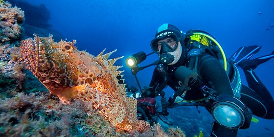 Benidorn: Buceando en el Paraíso