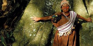 Organizaciones ind&iacute;genas e Iglesia buscan aliarse por la Amazon&iacute;a