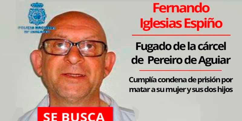 Galicia Negra: 10.000 pollos muertos, una herencia de pena y un preso enterrado en el monte