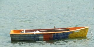 Patera