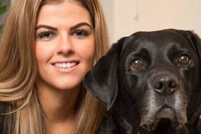 ¿Sabías que hablar con tus mascotas es un signo de inteligencia?