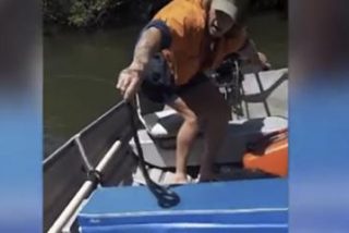 Este hombre arriesga su vida para salvar a una serpiente venenosa